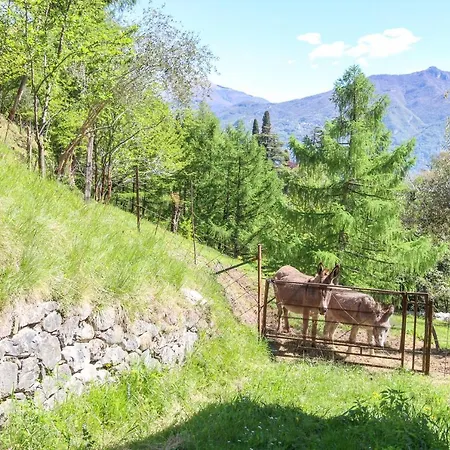 Ca' Pianca Griante Casa vacanze Cadenabbia